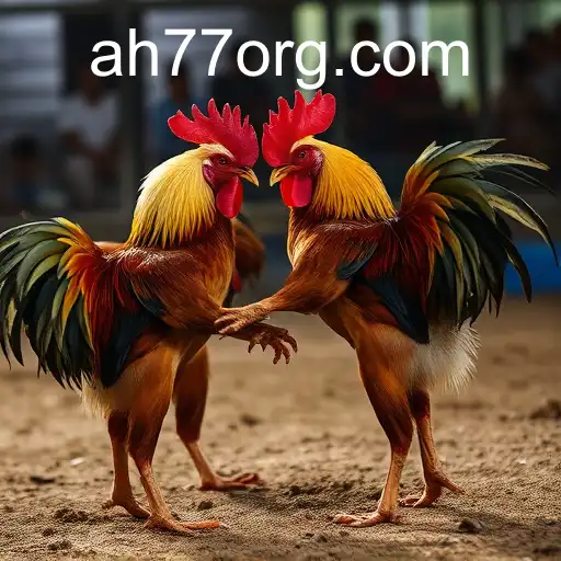 Exploring the World of Online Sabong: The Rise of Digital Cockfighting